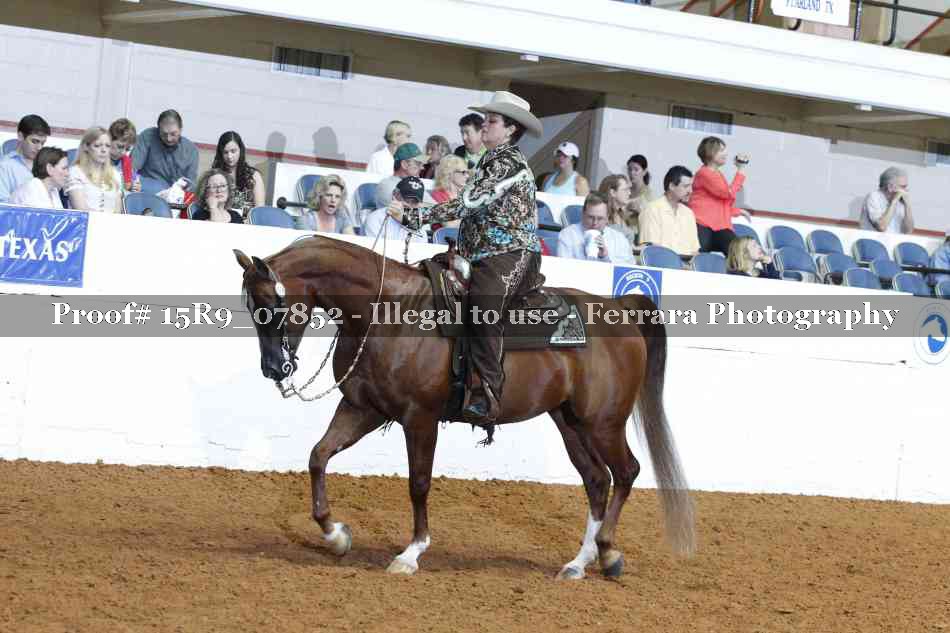 Proof Number 15R9_07852