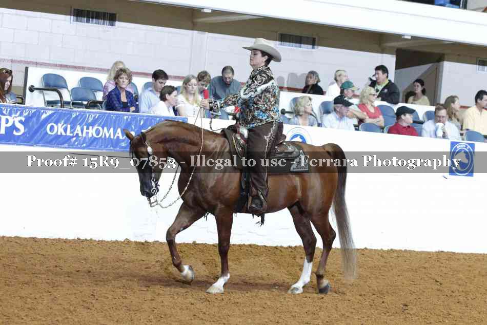 Proof Number 15R9_07853