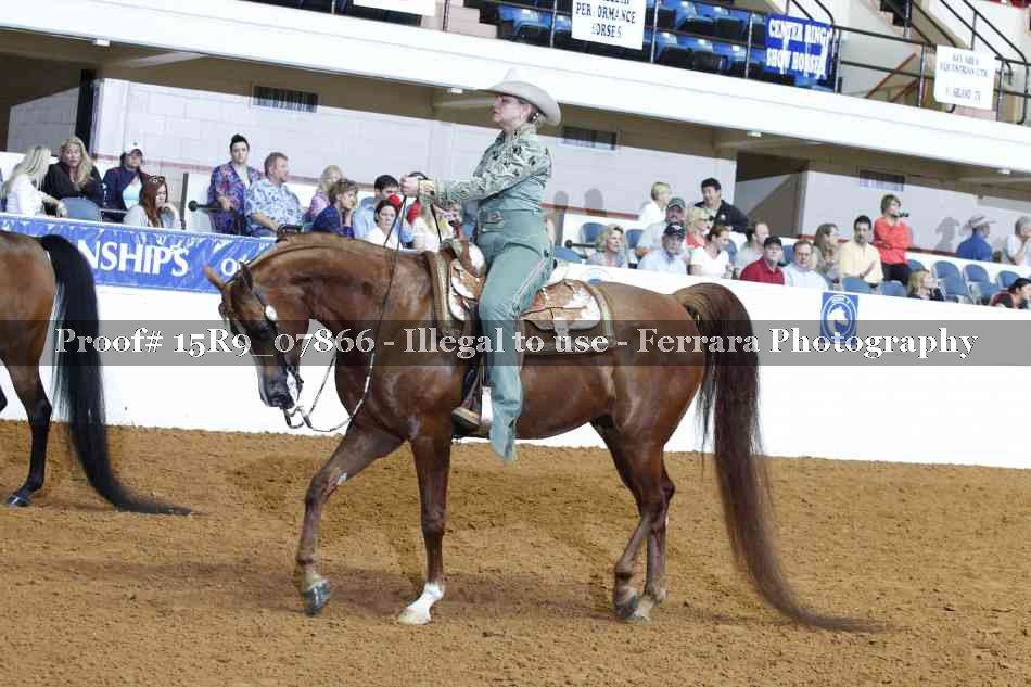 Proof Number 15R9_07866