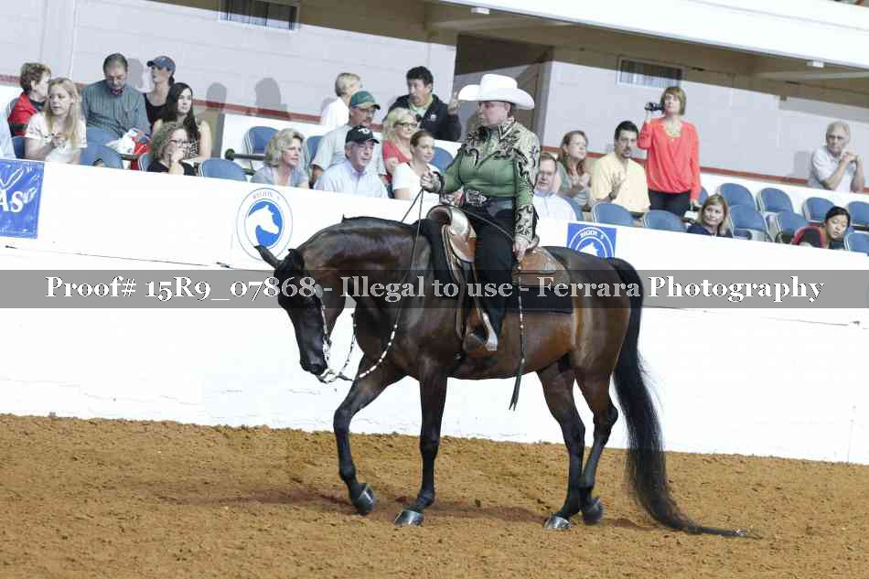 Proof Number 15R9_07868