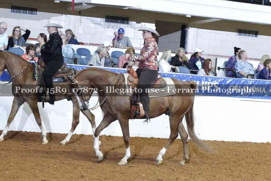 Proof Number 15R9_07872
