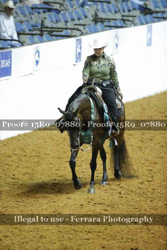 Proof Number 15R9_07880
