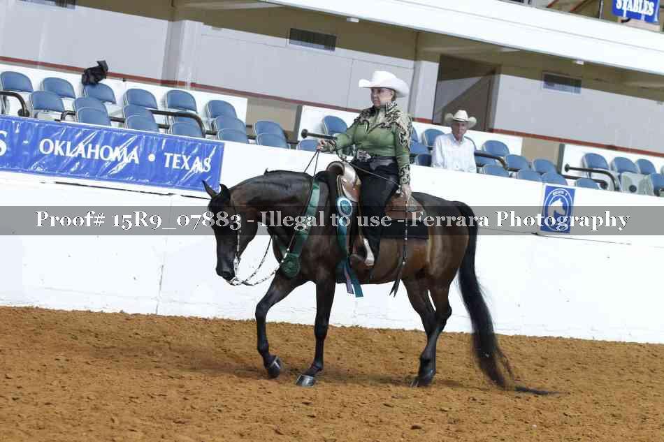 Proof Number 15R9_07883