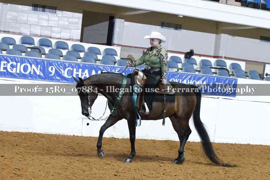 Proof Number 15R9_07884