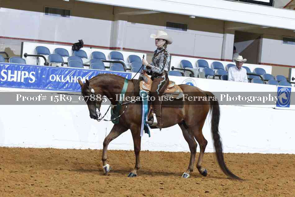 Proof Number 15R9_07885