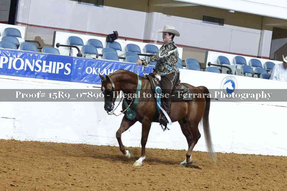 Proof Number 15R9_07896