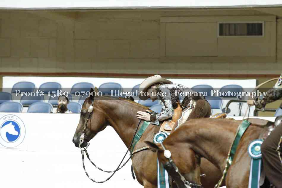 Proof Number 15R9_07900