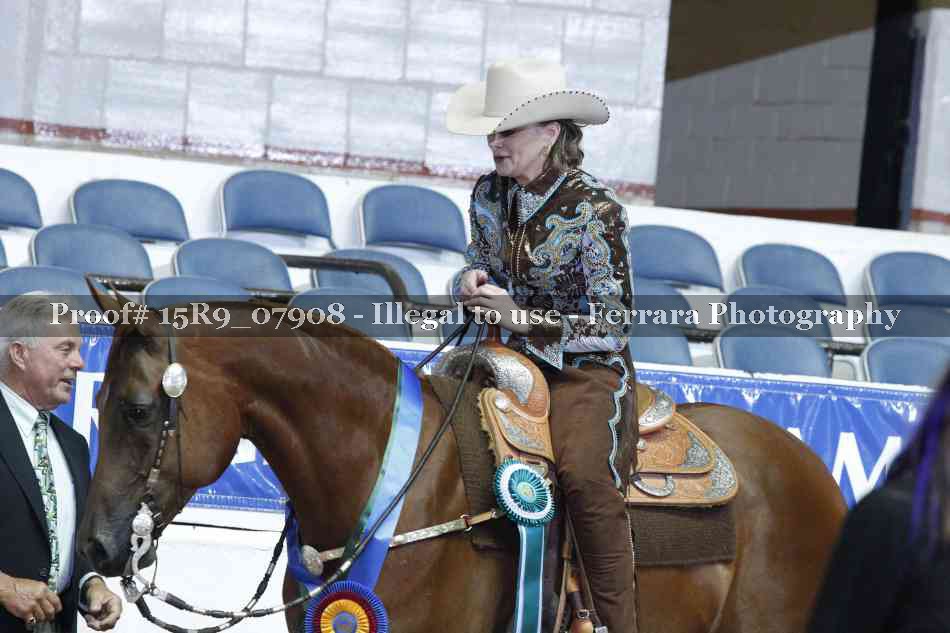 Proof Number 15R9_07908