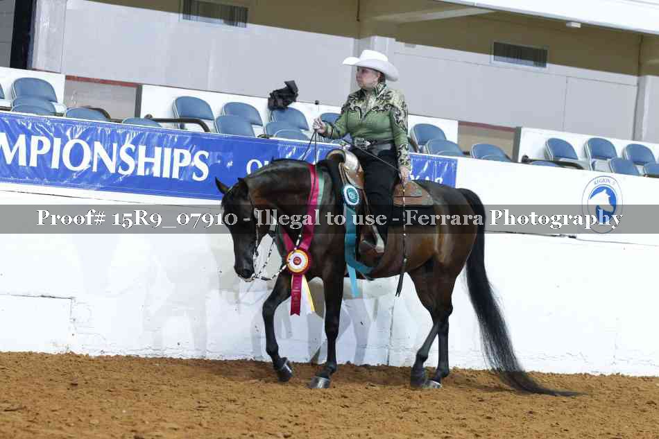 Proof Number 15R9_07910