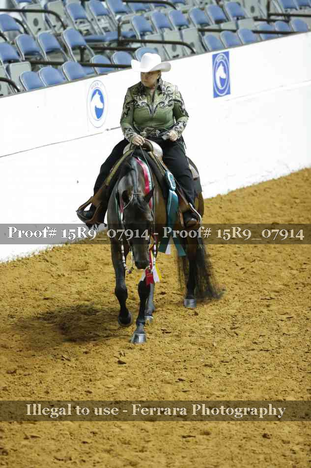 Proof Number 15R9_07914