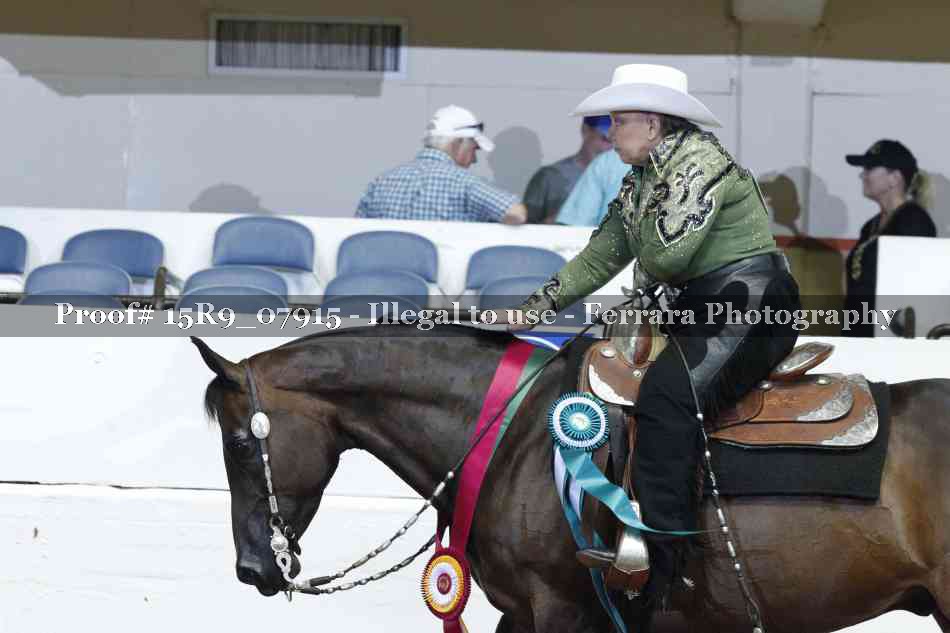 Proof Number 15R9_07915