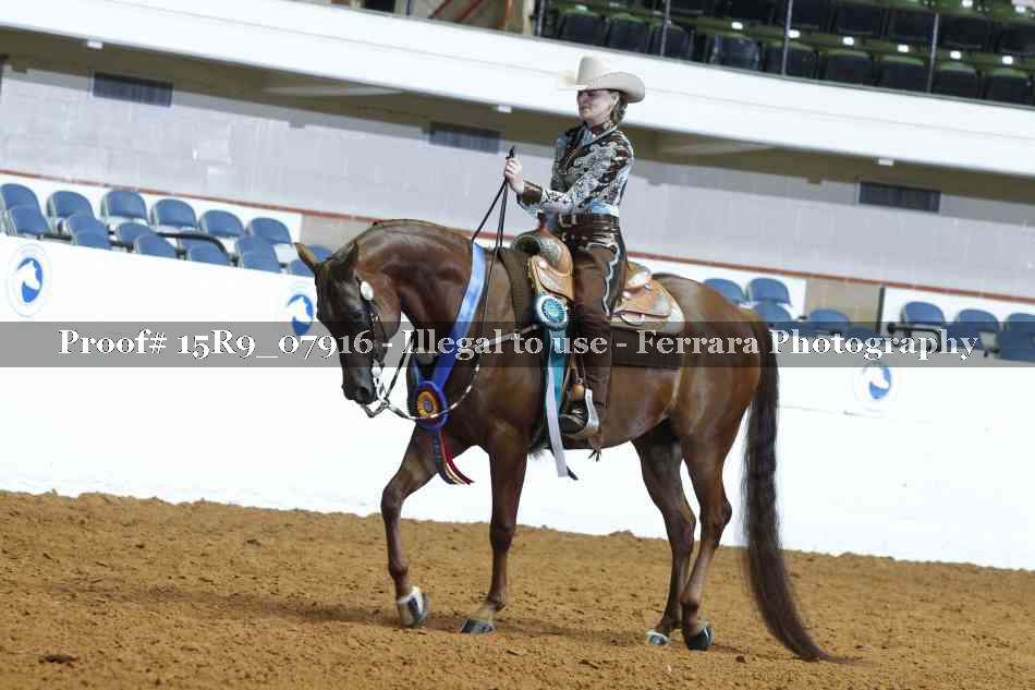 Proof Number 15R9_07916