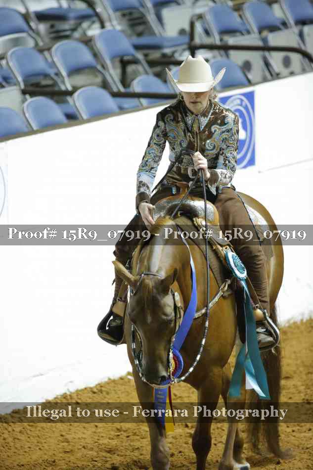Proof Number 15R9_07919