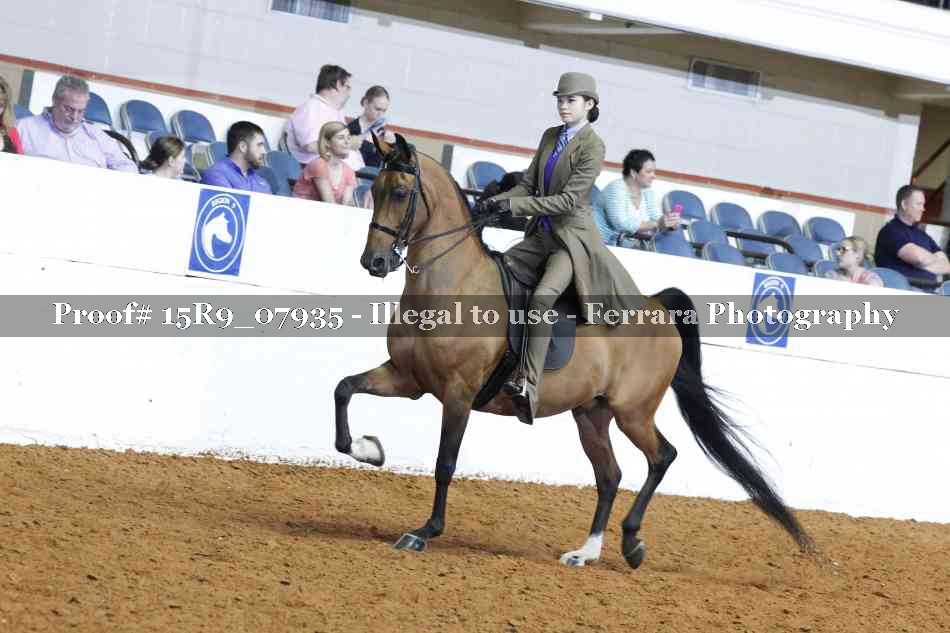Proof Number 15R9_07935