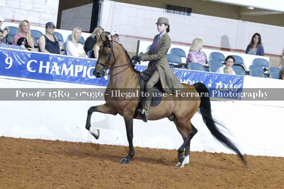 Proof Number 15R9_07936