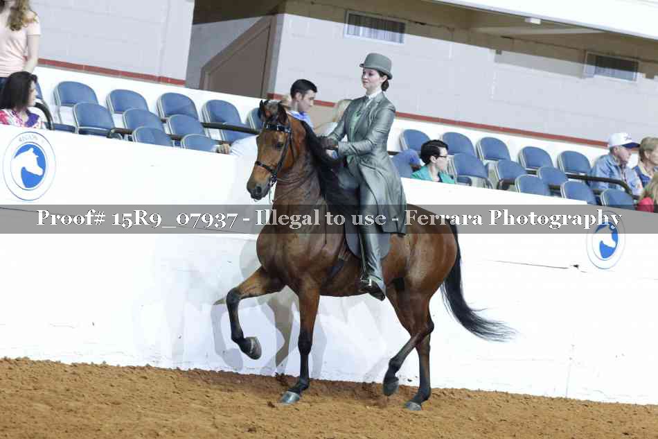 Proof Number 15R9_07937