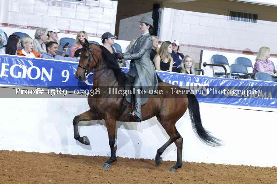 Proof Number 15R9_07938