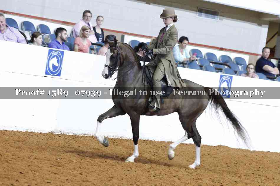 Proof Number 15R9_07939