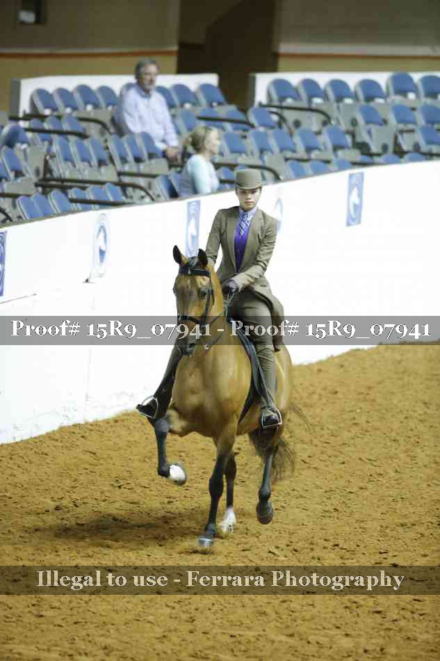 Proof Number 15R9_07941