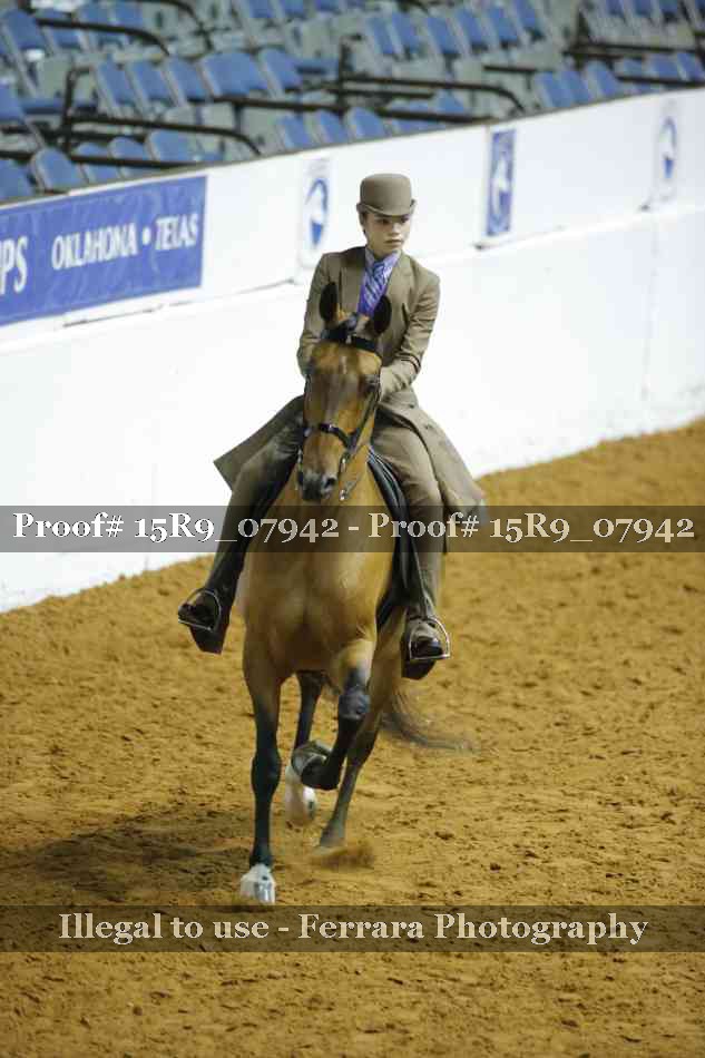Proof Number 15R9_07942