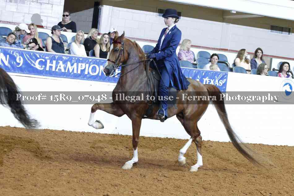 Proof Number 15R9_07948