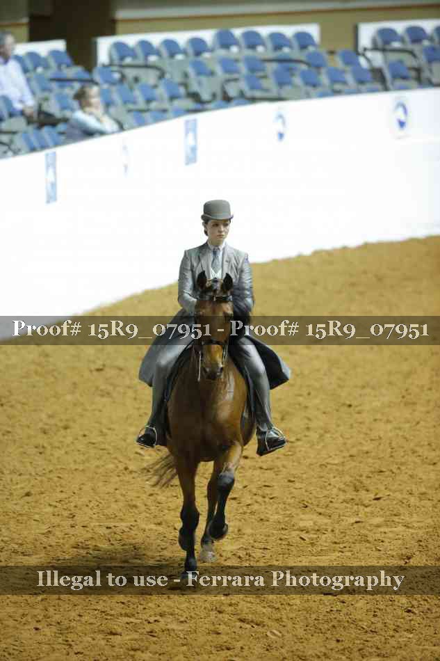 Proof Number 15R9_07951