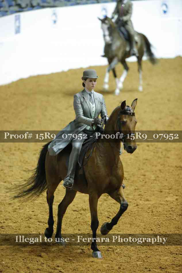 Proof Number 15R9_07952