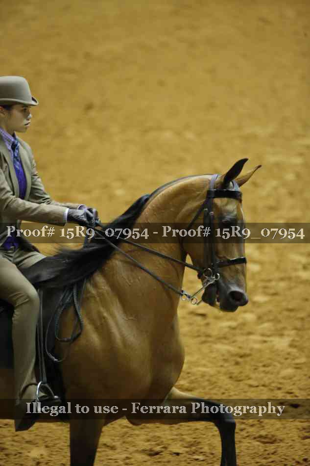 Proof Number 15R9_07954