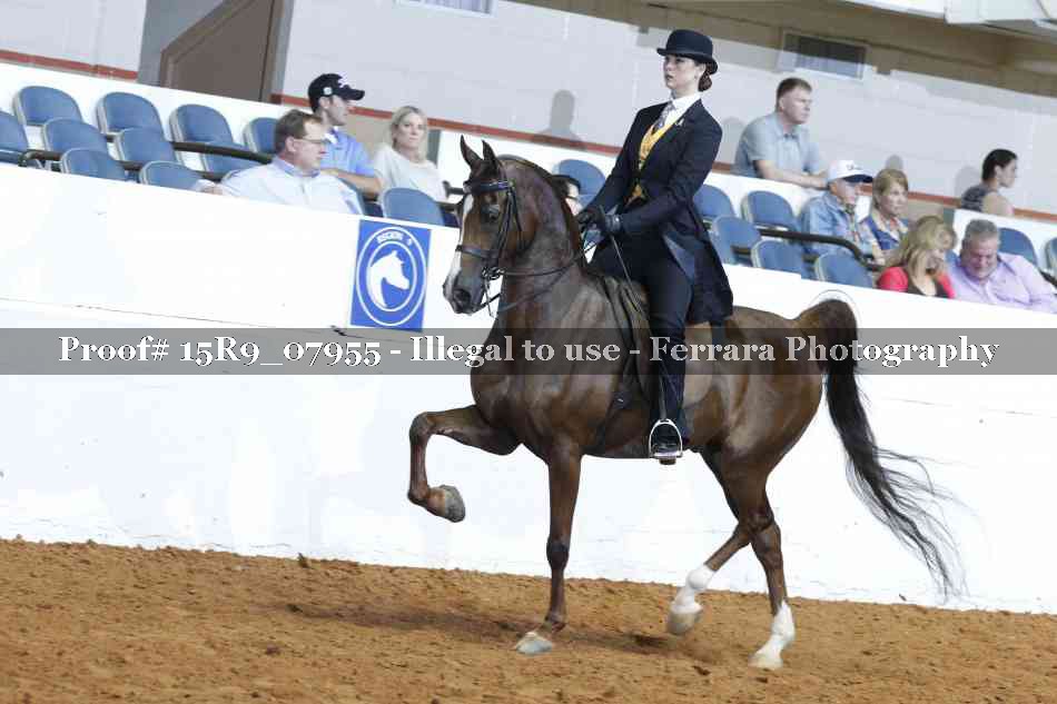 Proof Number 15R9_07955