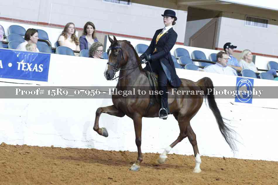 Proof Number 15R9_07956
