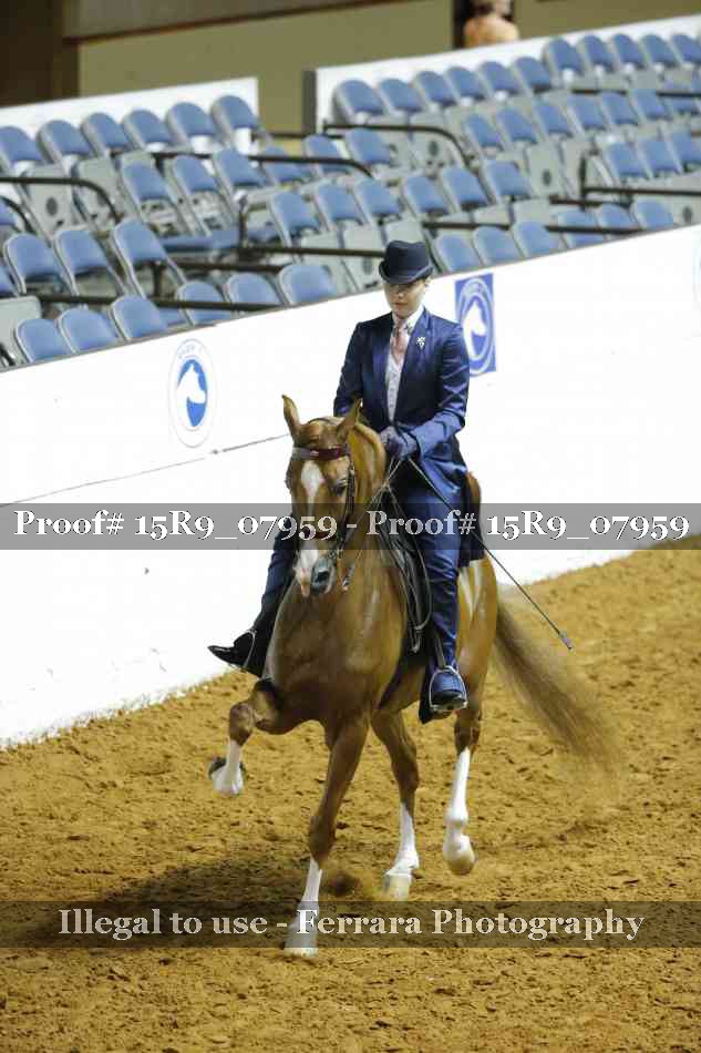Proof Number 15R9_07959