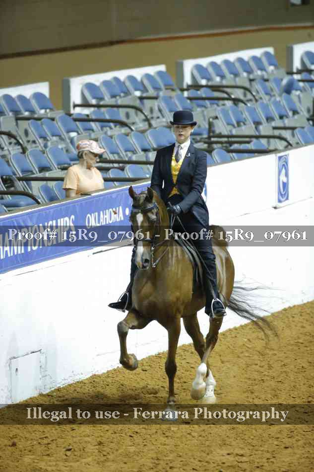 Proof Number 15R9_07961