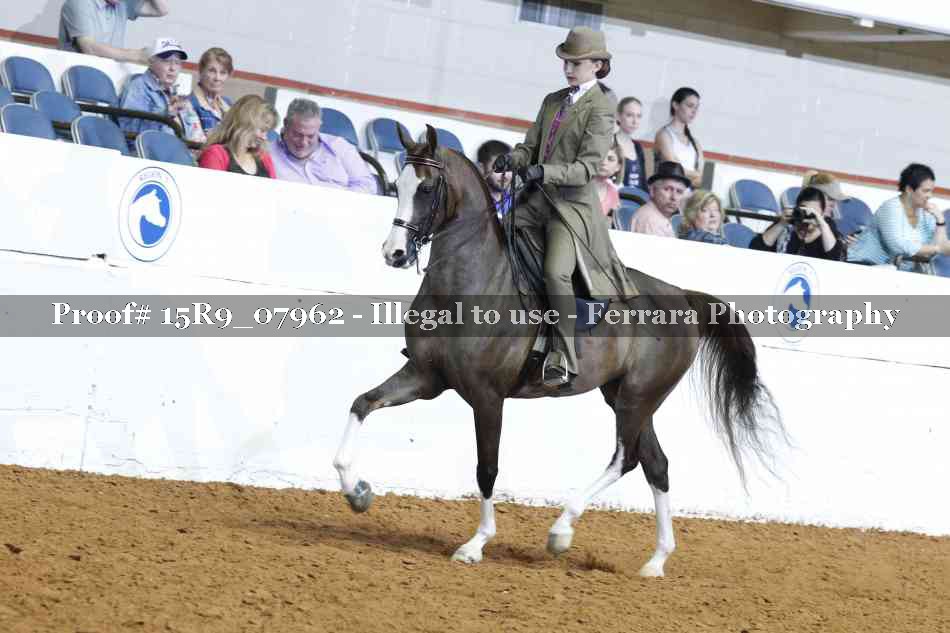 Proof Number 15R9_07962