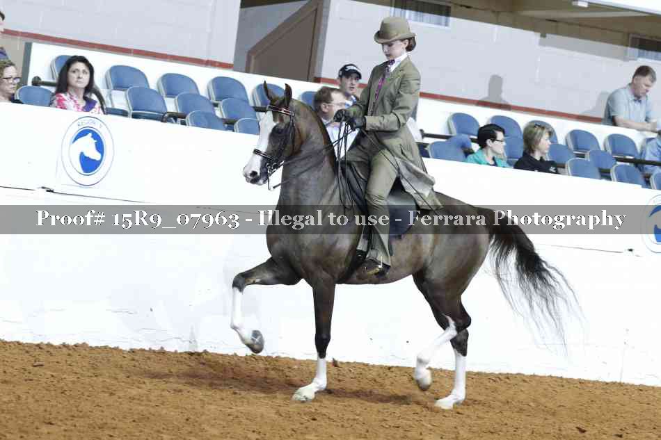 Proof Number 15R9_07963