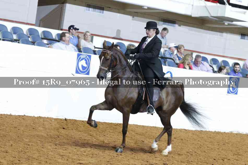 Proof Number 15R9_07965