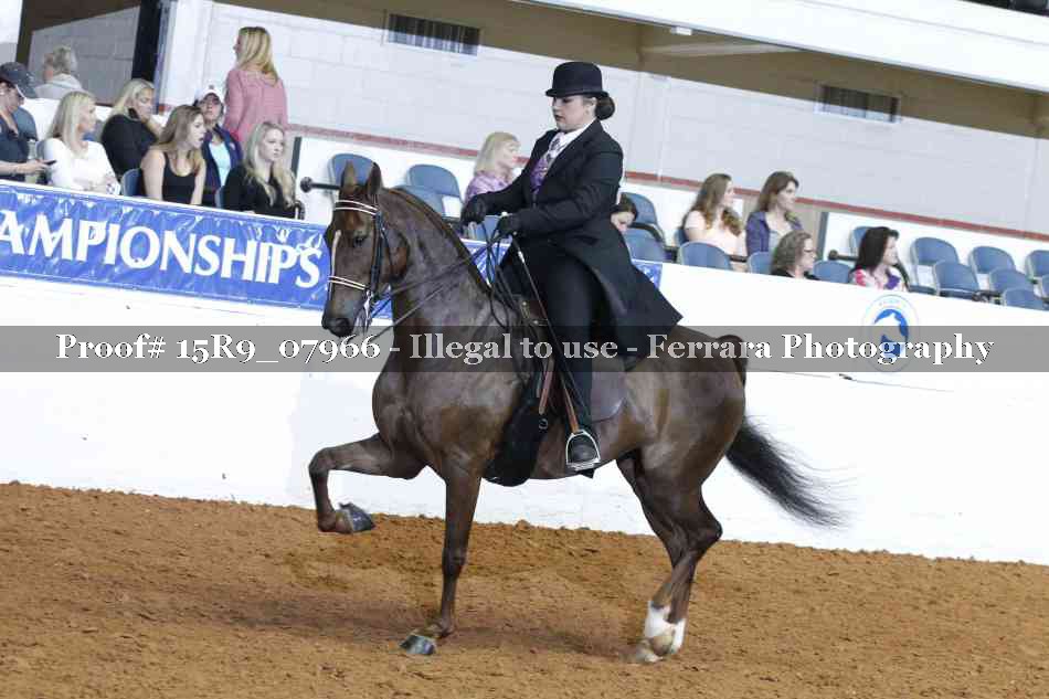 Proof Number 15R9_07966