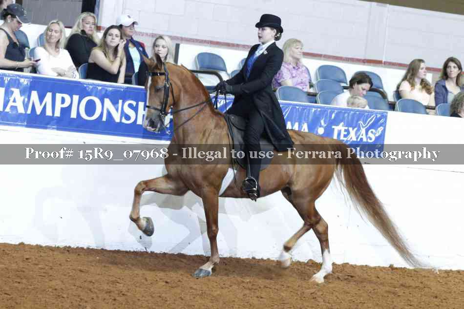 Proof Number 15R9_07968
