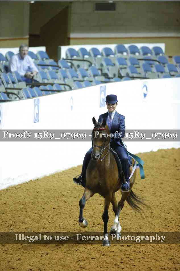 Proof Number 15R9_07969