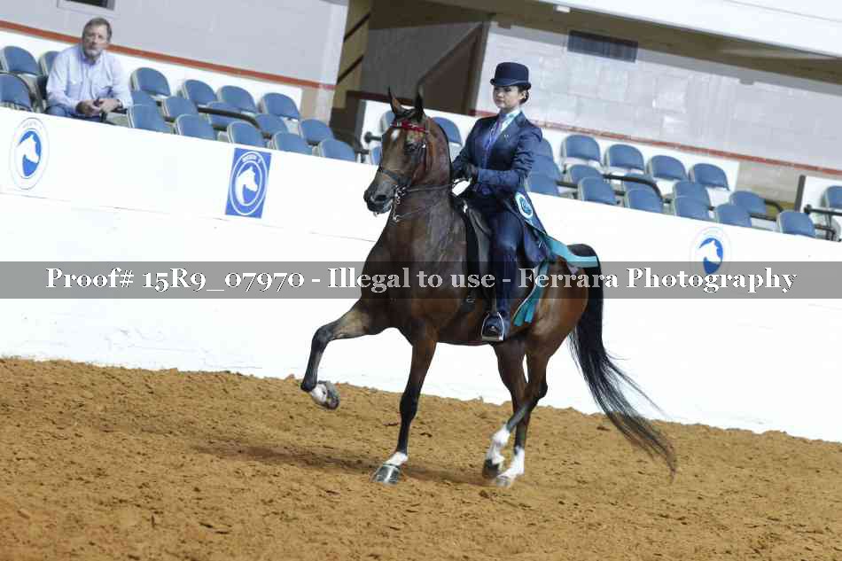 Proof Number 15R9_07970