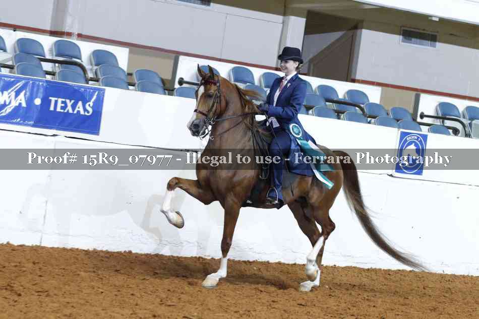 Proof Number 15R9_07977