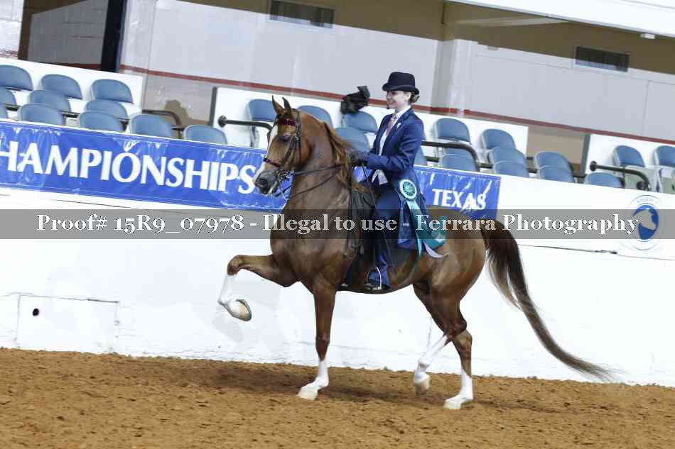 Proof Number 15R9_07978