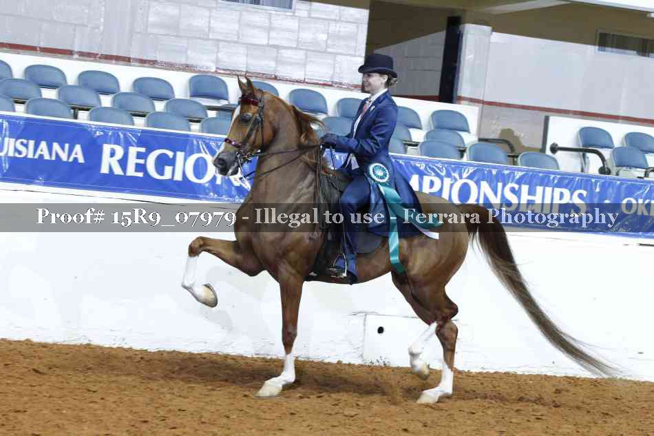Proof Number 15R9_07979