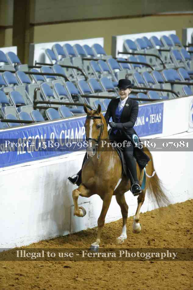 Proof Number 15R9_07981