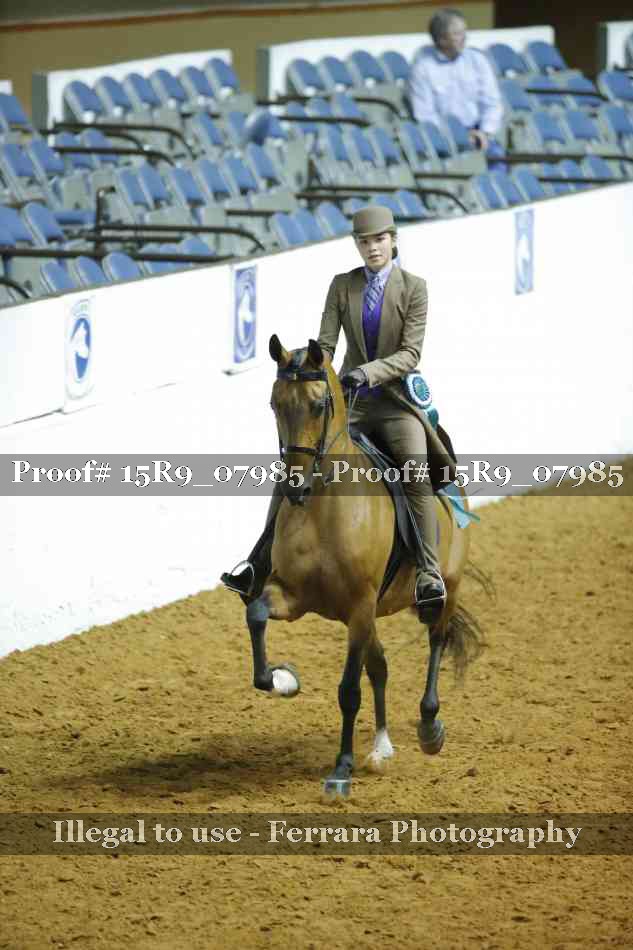 Proof Number 15R9_07985