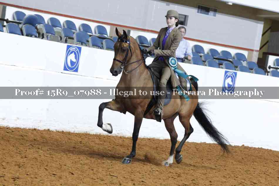 Proof Number 15R9_07988