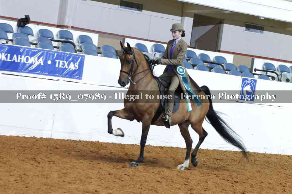 Proof Number 15R9_07989