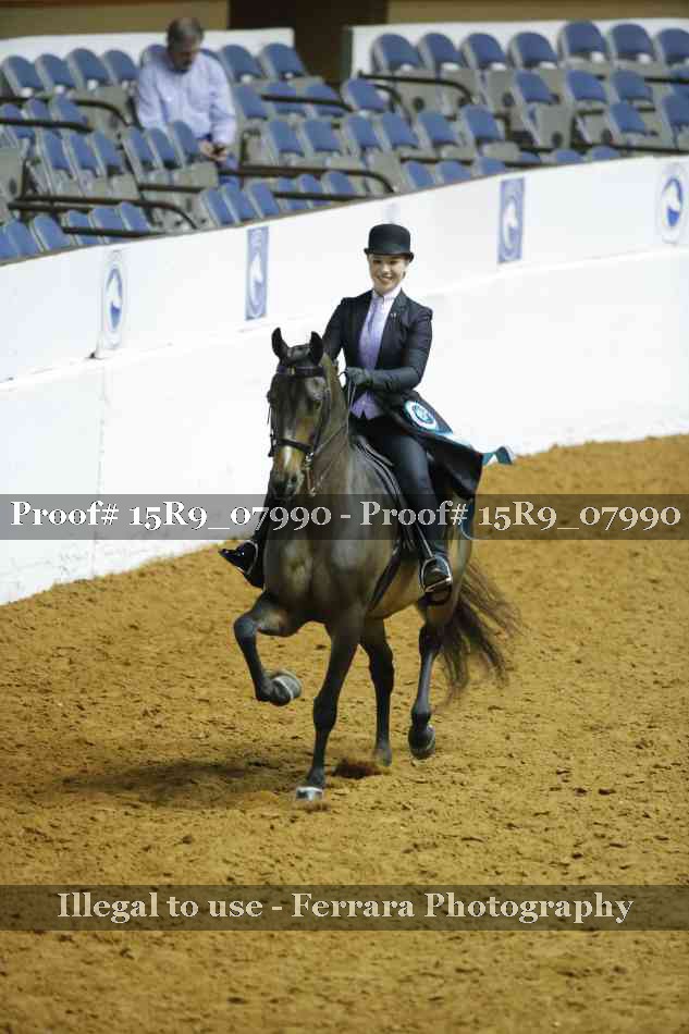 Proof Number 15R9_07990