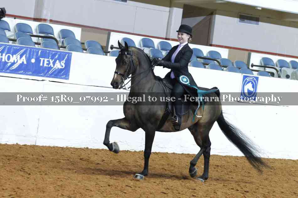 Proof Number 15R9_07992