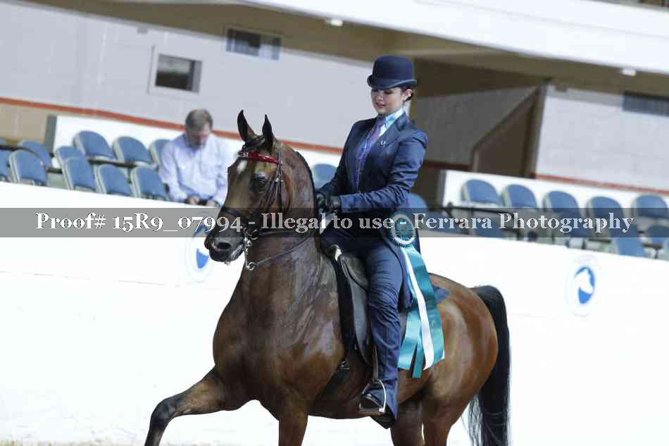 Proof Number 15R9_07994