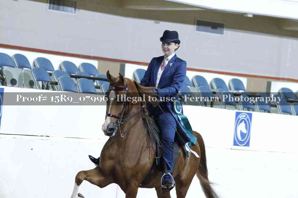 Proof Number 15R9_07996